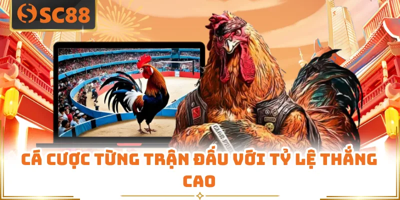 Cá cược từng trận đấu với tỷ lệ thắng cao