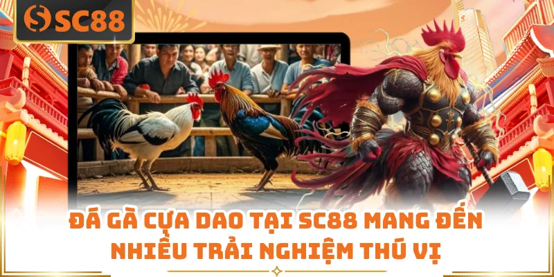Đá gà cựa dao tại SC88 mang đến nhiều trải nghiệm thú vị